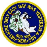 SBU Seal SDV Small Patch