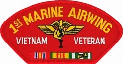1st Airwing Vietnam Vet Patch