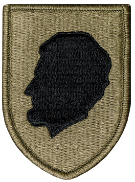 Illinois Army National Guard OCP Patch