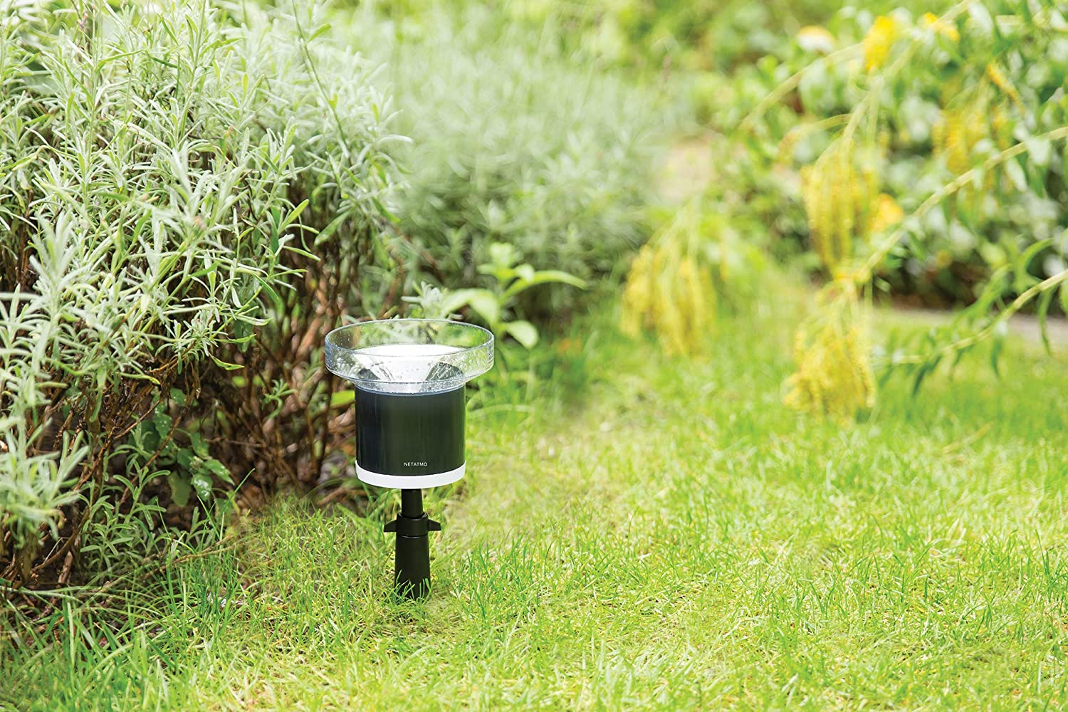 Netatmo Rain Gauge for Netatmo Weather Station