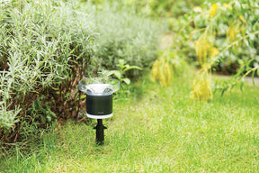 Netatmo Rain Gauge for Netatmo Weather Station