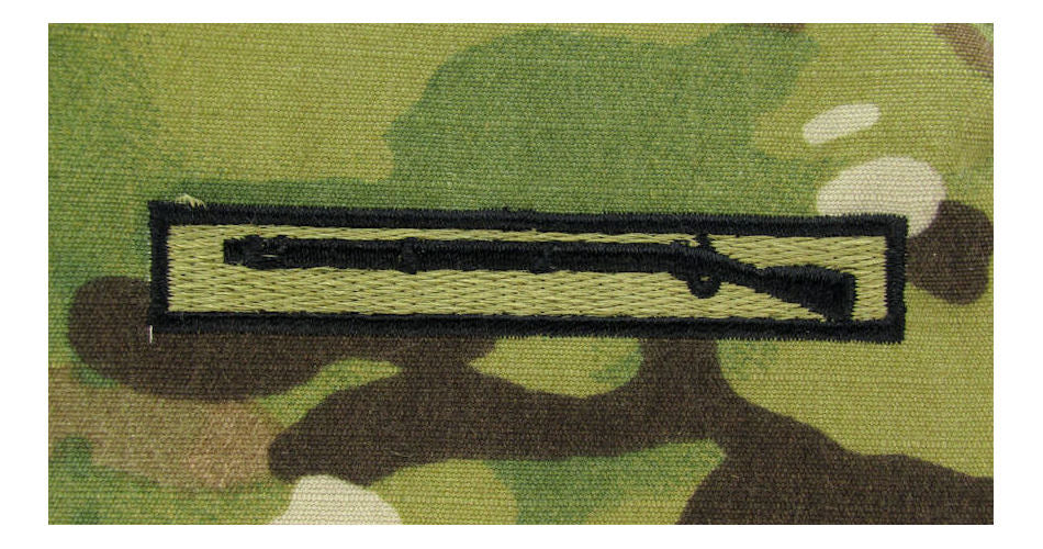 Expert Infantry Badge (EIB) OCP Qualification Badge