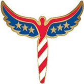 U.S.A. Angel Pin
