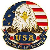 Eagle U.S.A. Home of the Brave Pin