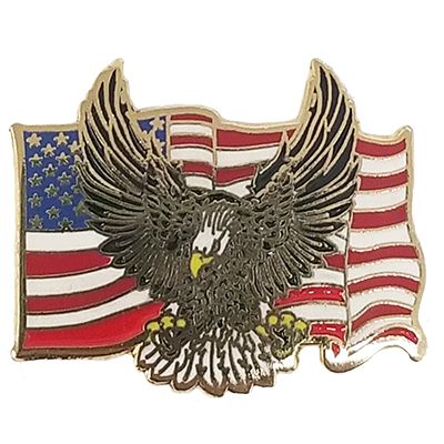 U.S. Flag Pin with Flying Eagle