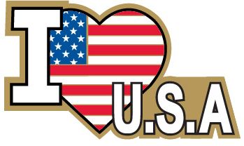 I Love U.S.A. Pin