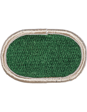 104th Military Intelligence Battalion Oval