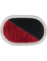 311th Military Intelligence Battalion Oval