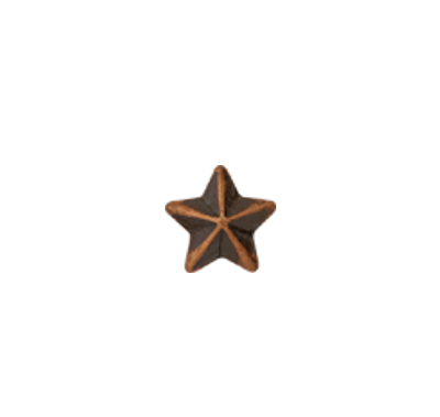 1 Bronze Star Ribbon Device