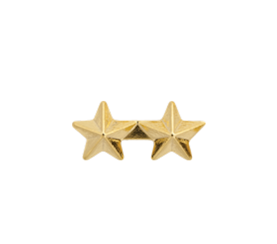 2 Gold Star Ribbon Device