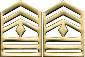 U.S. Army ROTC Rank - No Shine Pin-on Metal Rank Insignia