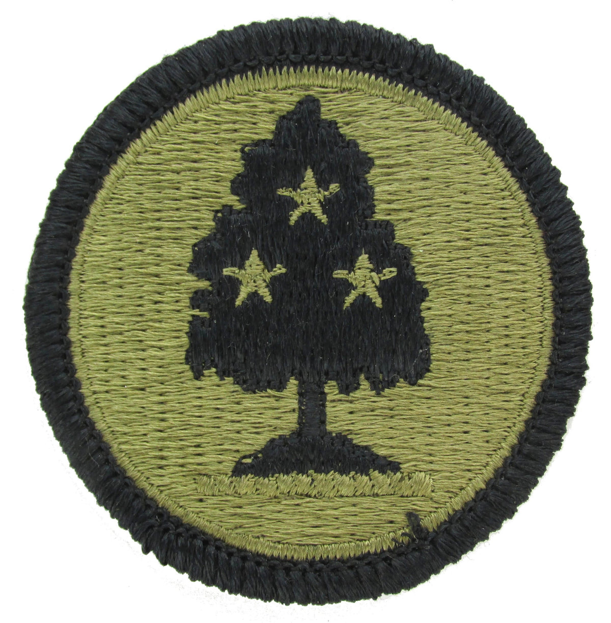 Tennessee Army National Guard OCP Patch