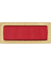 Army Meritorious Unit Citation Ribbon