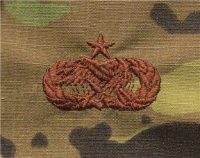 Logistics OCP Air Force Badge - SPICE BROWN