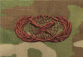 Public Affairs OCP Air Force Badge - SPICE BROWN